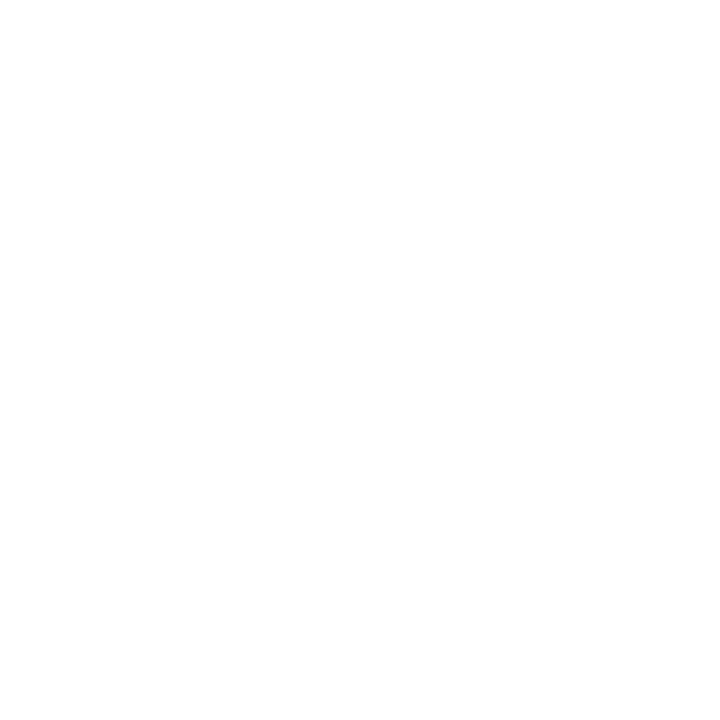 li-icon